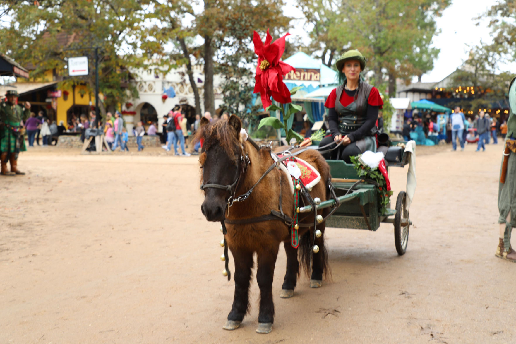 Texas Renaissance Festival Celtic Christmas Celebration